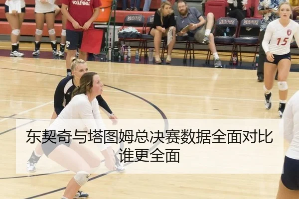 dong-qi-qi-yu-ta-tu-mu-zong-jue-sai-shu-ju-quan-mian-dui-bi-shui-geng-quan-mian-2-485.jpg